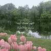 vanz_6i