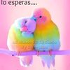 ross18073