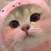 maria.alice5483