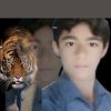 .abu.moataz