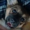 sof_lixqi1864