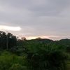 ckuruyuu