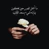 ahmed.abdalfadel