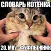 verrok_wfw
