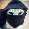 arza_361
