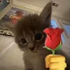 Anh  Hai    xinh ngoan yêu 💐