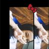 user460648411
