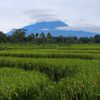 laweyan.explorer
