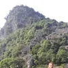 nguyen.phuong273