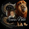 sorin.nelu3