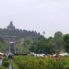 sri.hariyani665