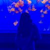 lyssa.74711