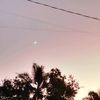 rorrr_3036