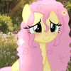 fluttershy.0o