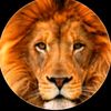 lion22521