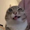 _dumaanh_
