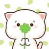 shyvn08