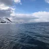 Татар малай