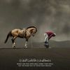 quranrecitations009