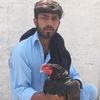 aliraza99416