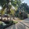 giang3184