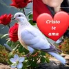 chamarro20