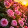 soso_2752