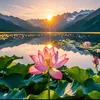 xuan.trang6868