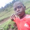 3600438319539rogers