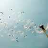 thewind042