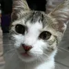 yuki.gio27