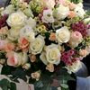 betyna8martie