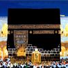 user78581808461123