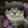 gatotoji1