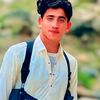 uksarkar711
