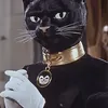 angrycat86