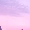 ariana6z