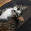 mata_69692