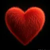 nick.forev