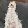 willowismad4