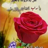 user9924109139637