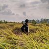 Firman