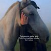 abdulloh_07_7