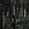 ell_dh4