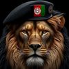 wali.afghan018