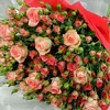 user788886803062