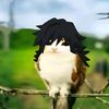 giyuamw
