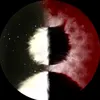 taolathanh69