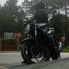 alexander_3086