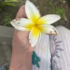 esperanza.lemura